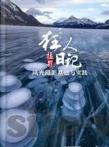 我国女排世界杯冠军-我国女排世界杯冠军，荣耀背后的坚持与拼搏